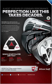 2012 Wilson Irons